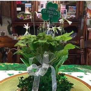 Meet your Posher, Patricia